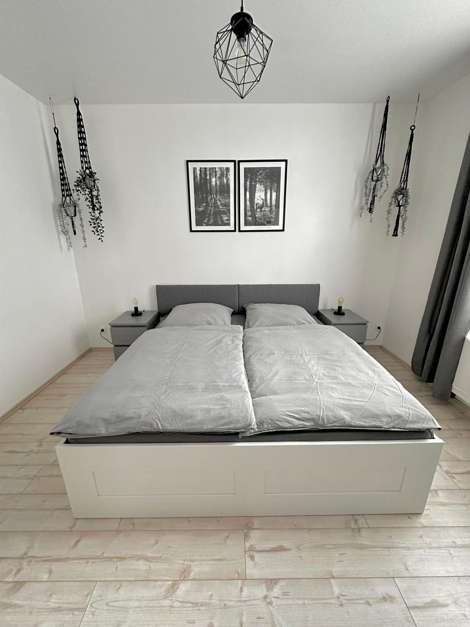 Ferienwohnung Harz Hexe Wernigerode Esterno foto